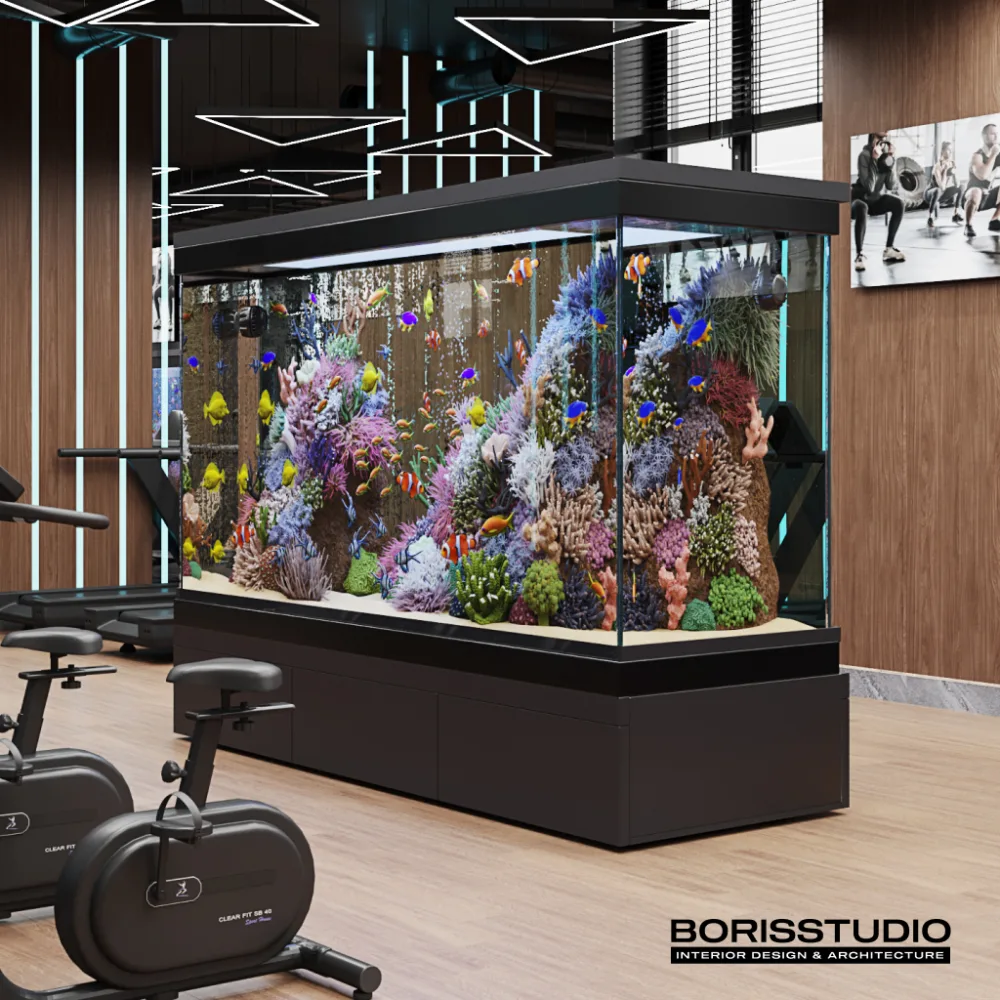 BORISSTUDIO